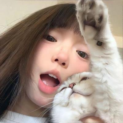猫和老鼠1965